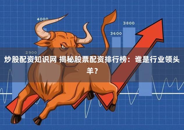 炒股配资知识网 揭秘股票配资排行榜：谁是行业领头羊？