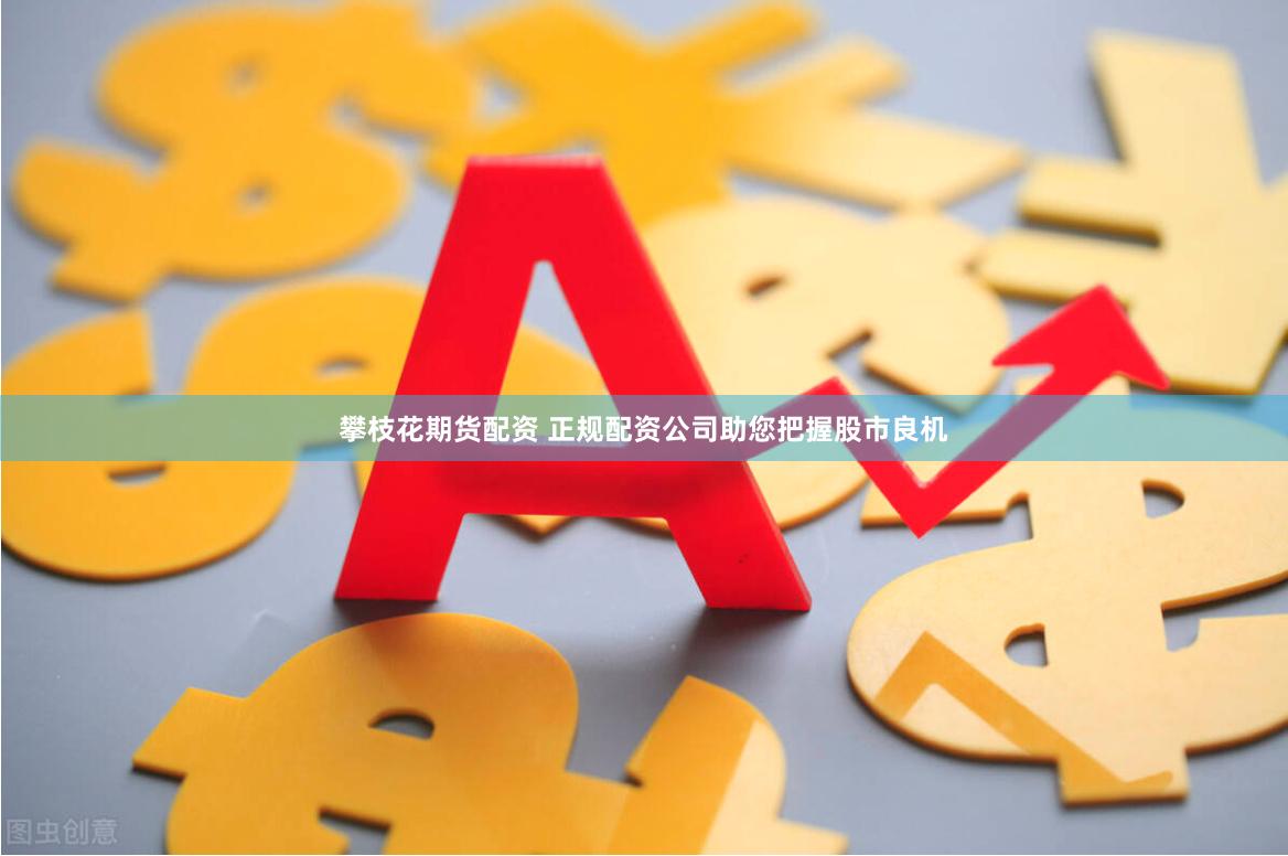 攀枝花期货配资 正规配资公司助您把握股市良机
